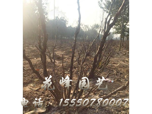 戳我试试