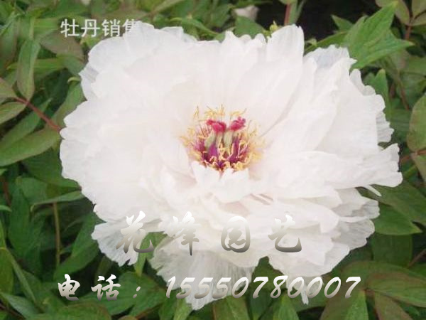 戳我试试