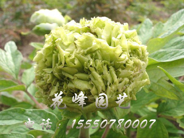 戳我试试
