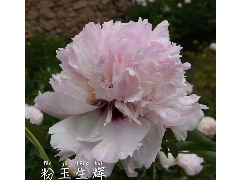戳我试试